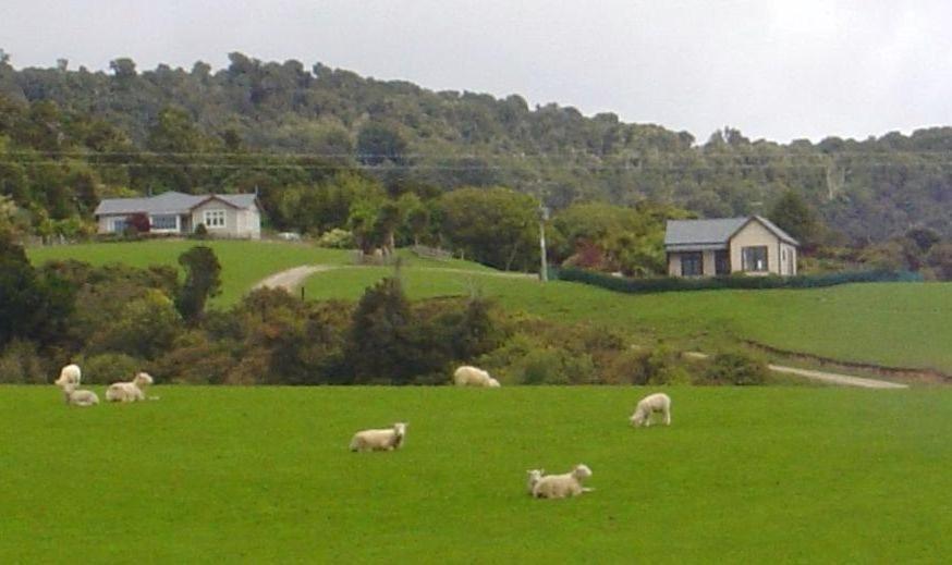 Hilltop Accommodation Catlins Papatowai Exterior foto