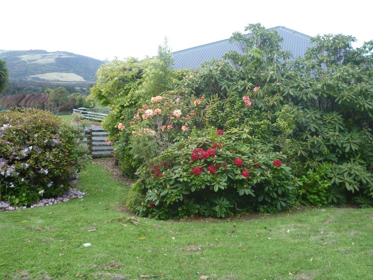 Hilltop Accommodation Catlins Papatowai Exterior foto