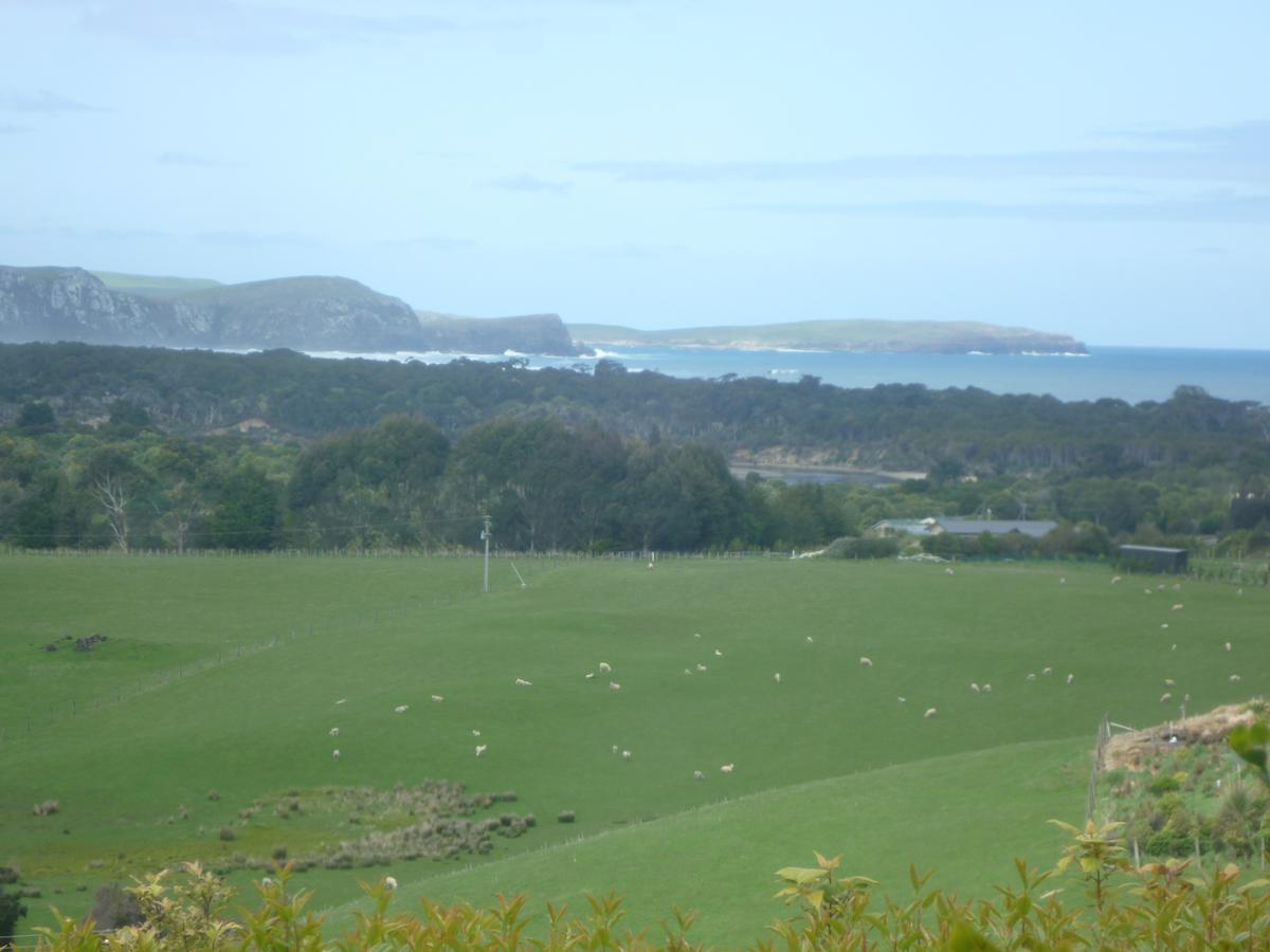 Hilltop Accommodation Catlins Papatowai Exterior foto