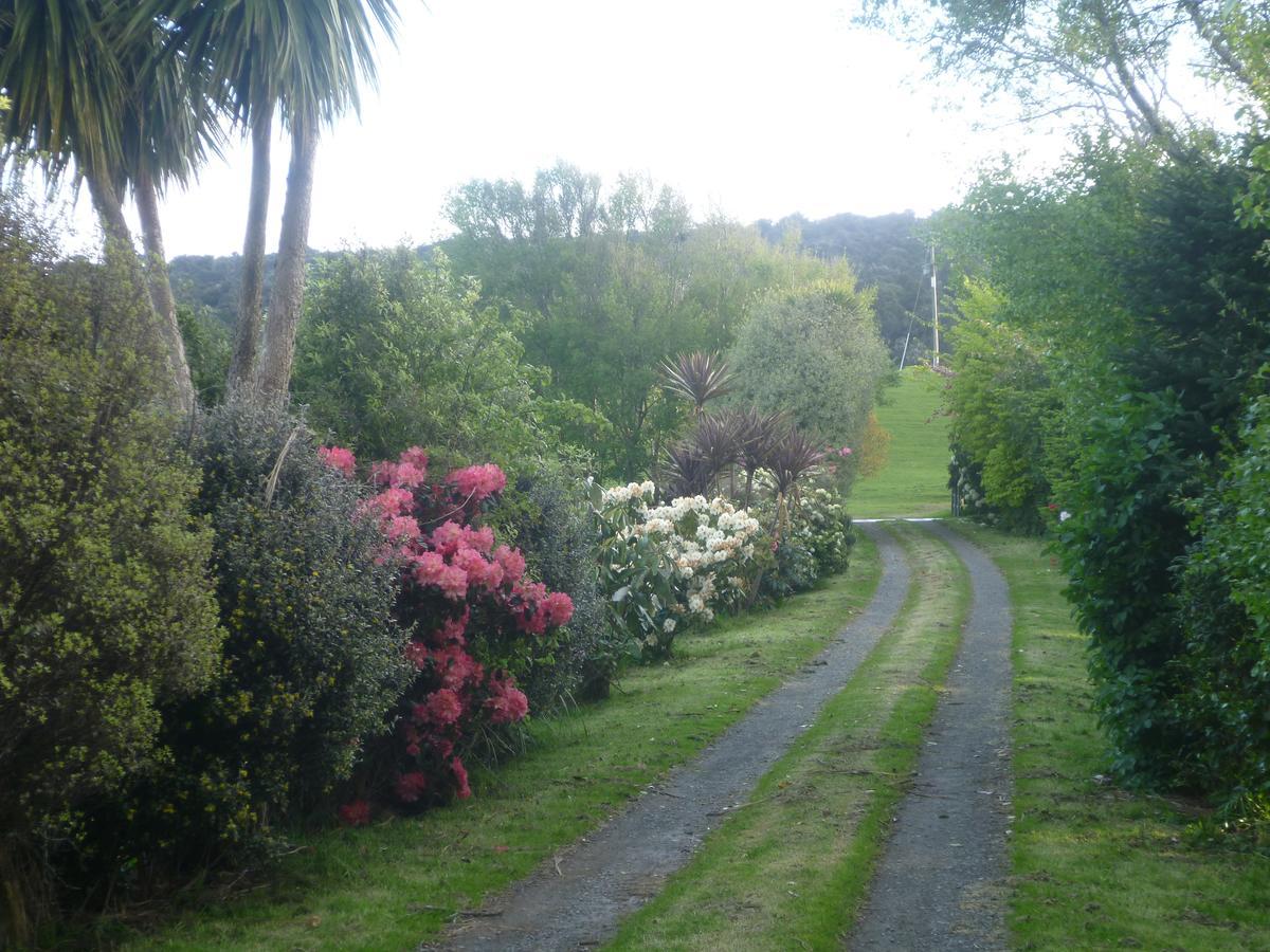 Hilltop Accommodation Catlins Papatowai Exterior foto